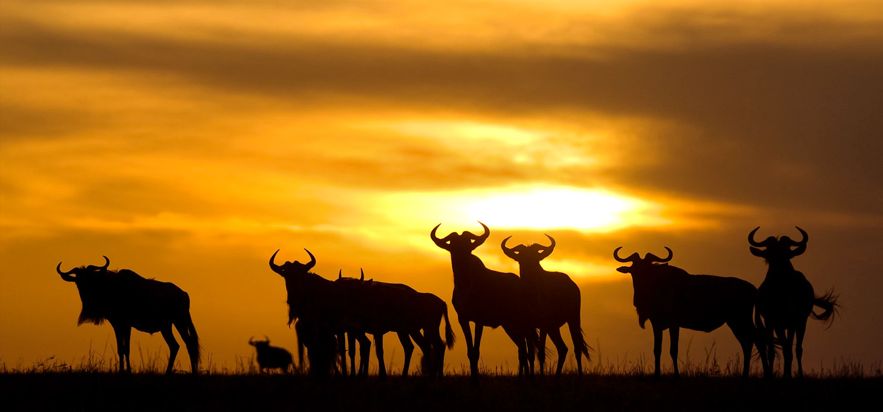 Safari camp overlooking the Serengeti plains in Tanzania