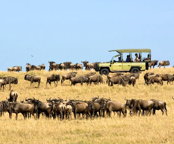 Ubuntu Migration Camp