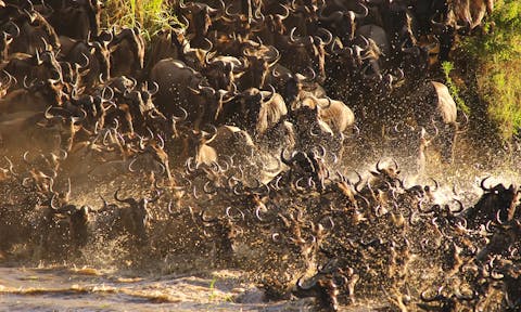 Ubuntu Migration Camp