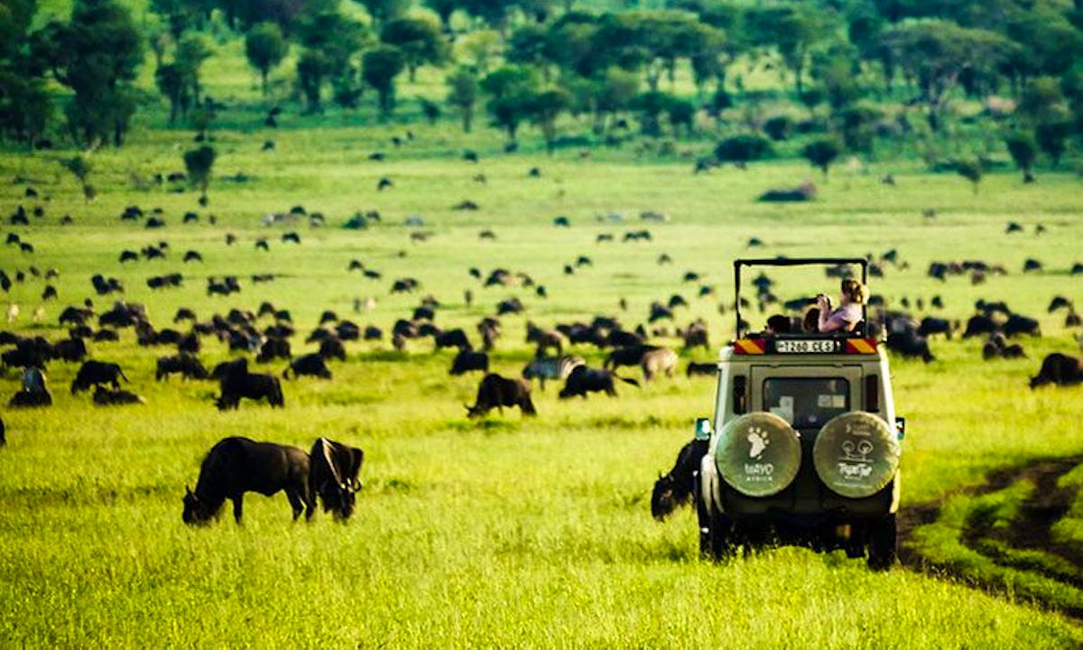 wayo-africa-3