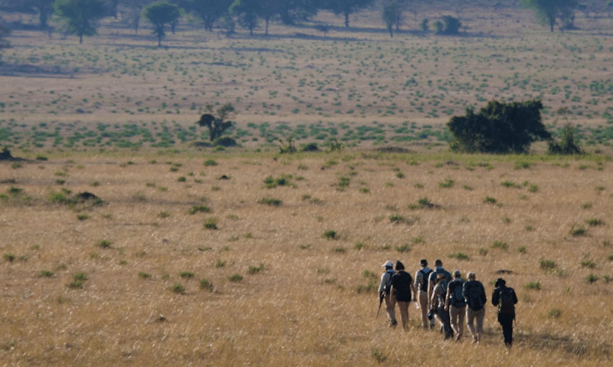 wayo-africa-4