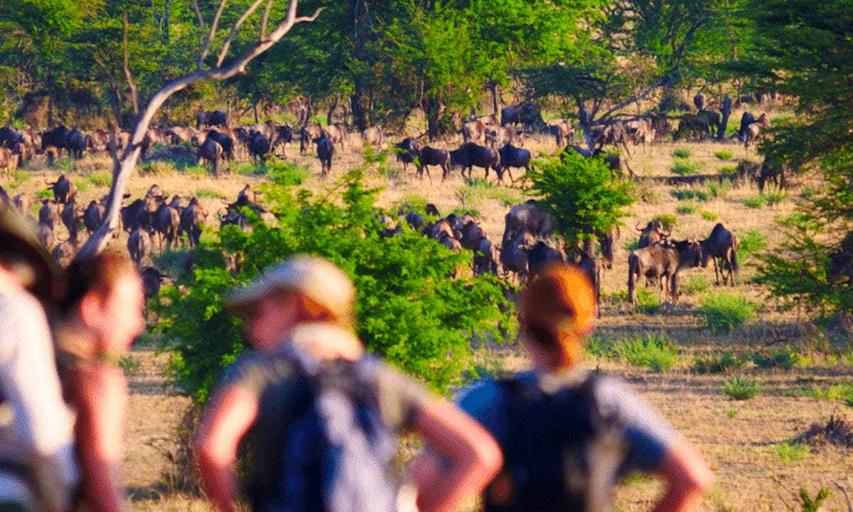 wayo-africa-5