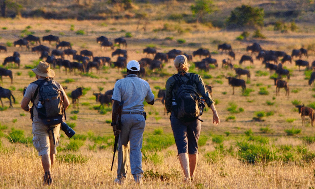 wayo-africa-6