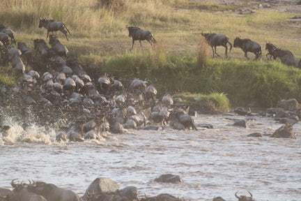 Namiri Plains Camp