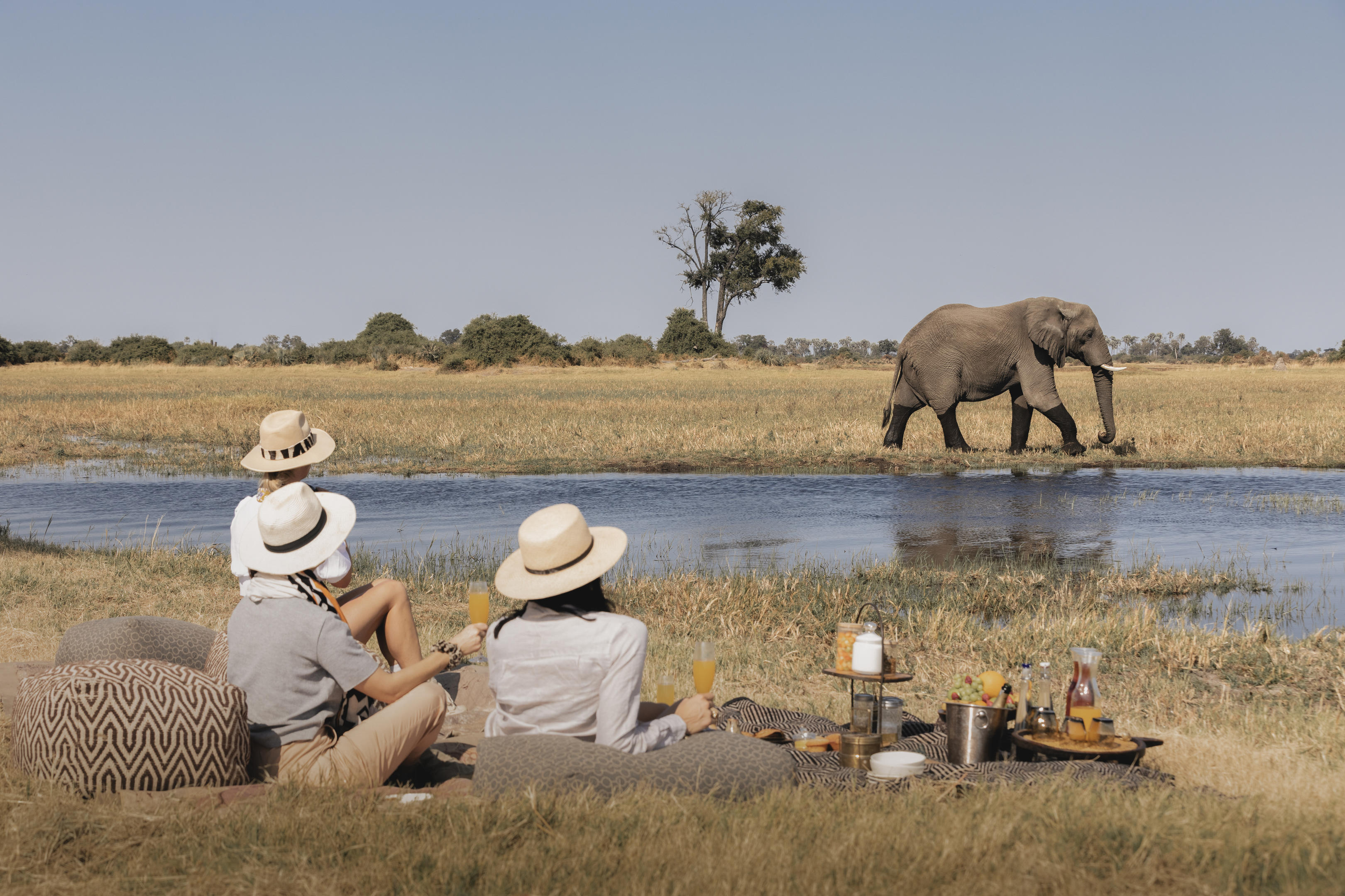 Moremi Game Reserve
