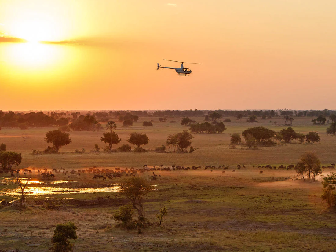 The floodplains of the Okavango Delta