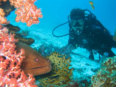 Get up close and personal with the breath-taking marine life.