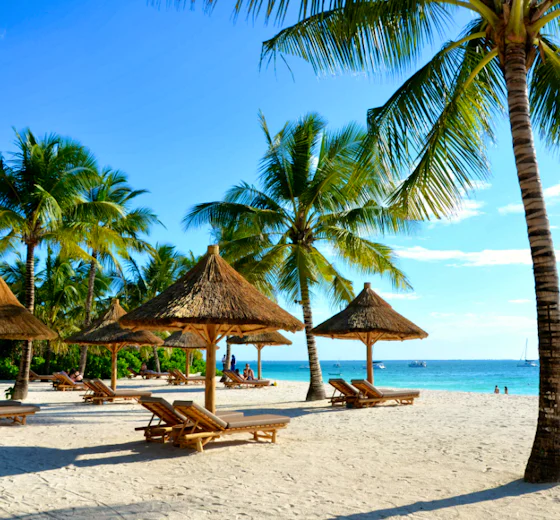 Palm trees and white sand on Zanzibar